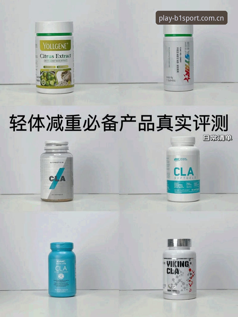 必一体育用户评价评测vs其他平台：新手必看的选择指南与真实体验对比